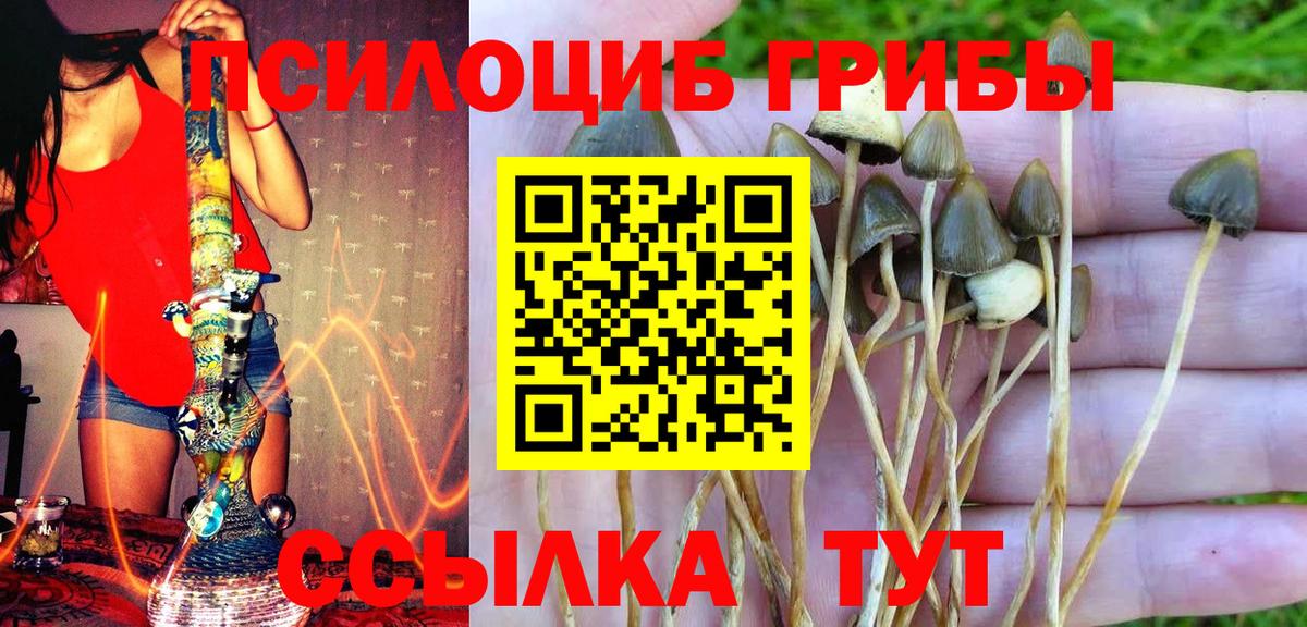 Чайковский  Галлюциногенные грибы ЛСД  Вход с VPN 