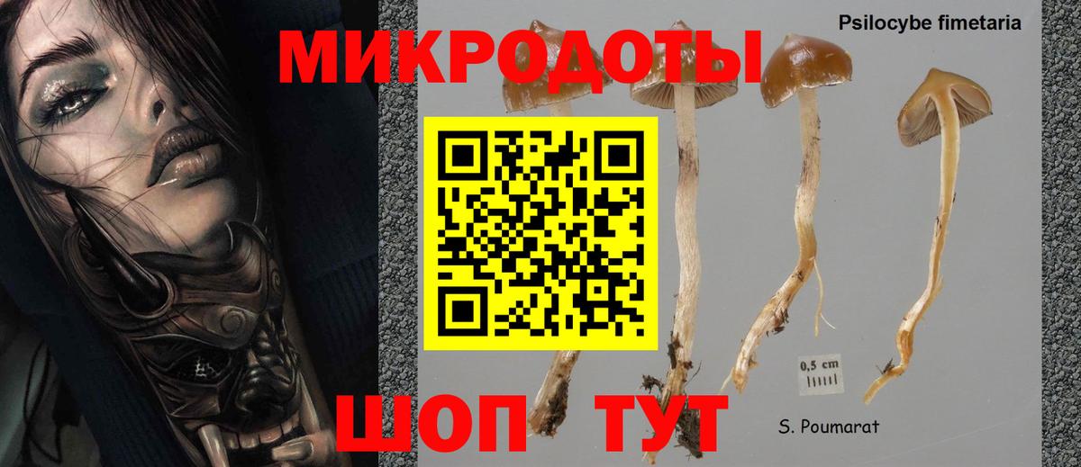 Галлюциногенные грибы Magic Shrooms Чайковский